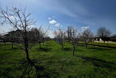 Spațiu industrial de 400mp de vânzare - 9