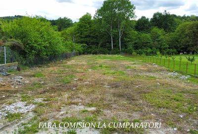 TEREN 2153 MP, BUJORENI - DESCHIDERE LA DN7 - 5