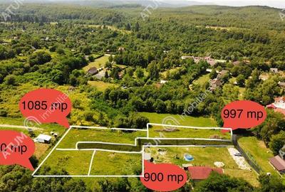 Teren intravilan de vanzare 1900 mp in Avrig zona Valea Avrigului - 1