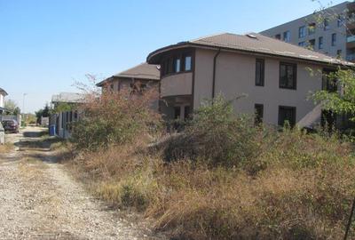 Prelungirea Ghencea Iernii - 1