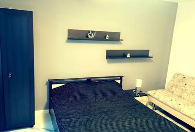 Garsoniera de inchiriat cartier- Tineretului - 7