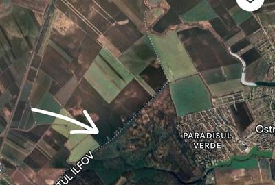 Teren Corbeanca- Darza -deschidere la Padurea Valea Mocanului intre 5 si 38 ha - 1