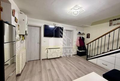Doua apartamente la curte comuna separata, zona Timocului, Timisoata - 9