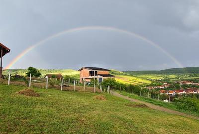 TEREN DE VÂNZARE – HAMBA | Priveliște de poveste! - 1