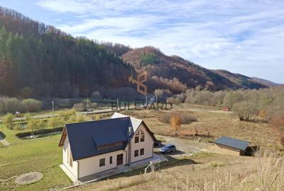 Proprietate cu potențial turistic în zona montană a Țării Lăpușului - 35