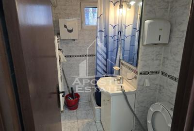 Apartament 2 camere de inchiriat ,Take Ionescu-Timisoara - 7