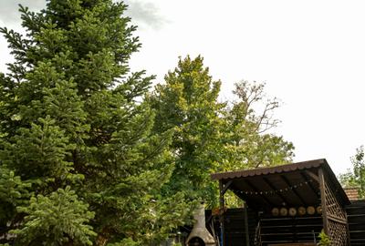 Vila cu PISCINA acoperită, zona centrala în Periș - 42