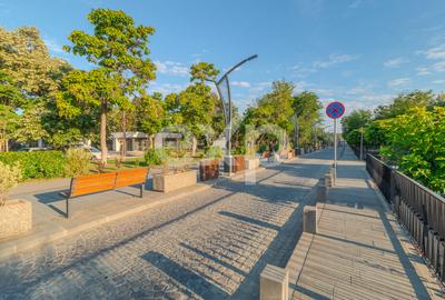 Spațiu versatil pentru business în Băile Felix - 11