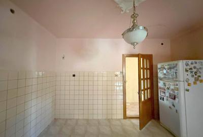 Casă P+1 cu teren generos, anexă și garaj – Timișoara, - 12