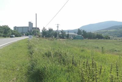 Teren intravilan industrial pentru constructie hale Codlea - 5