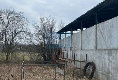 Hala industriala, com Dragutesti. Comision 0% - 4