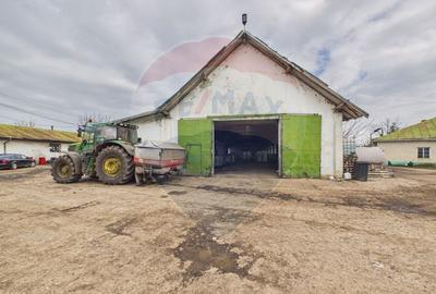 Spațiu industrial de vanzare 7950mp Lehliu Gara acces DN3+A2 - 8