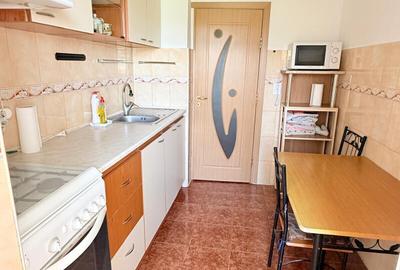APARTAMENT CU 2 CAMERE DECOMANDAT, STR. STRAMOSILOR, DACIA - 8