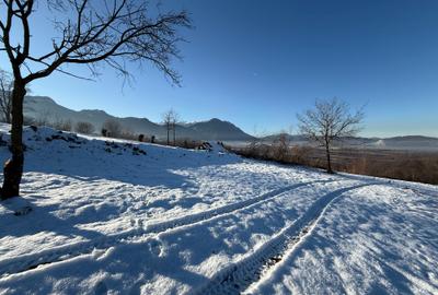 Teren intravilan intre 500 si 1000 mp   in zona Bran - 11