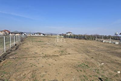 Teren 500 Mp De Vanzare, Sângeorgiu de Mureș Strada Matei Corvin! - 9