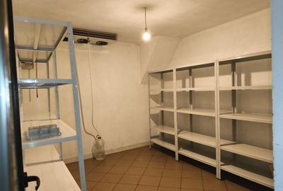 Spațiu Comercial tip Ballroom, 440 mp + 1000 mp parcare privata - 13