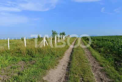 Teren agricol de 5000 mp, în Șura Mică