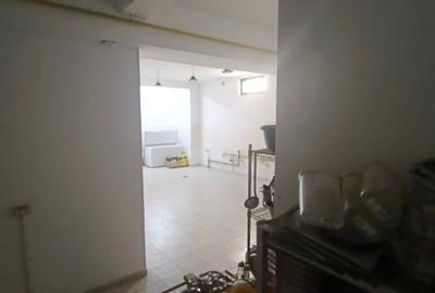 Apartament demisol 201 mp nefinisat+ 85 mp curte proprie - 5