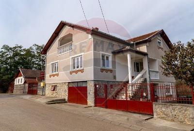 Casă individuală cu 8 camere în Cristur