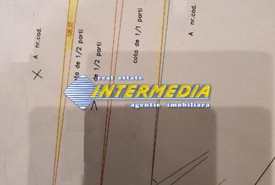 Teren intravilan de vanzare 1248 mp d=15 mTeleac cu utilitati panorama deosebita - 3