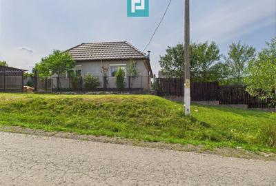 Casă renovată cu teren generos lângă Ususău - 1