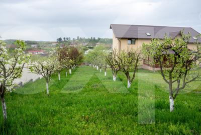 Proprietate unică, în zonă verde și liniștita - 8