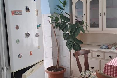 Apartament cu 3 camerere, decomandat - 9
