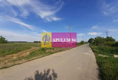 Teren construcție casă - 1 Decembrie - Zona Metropolitană București - 23