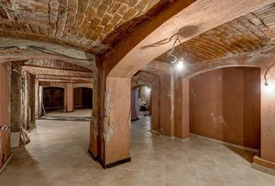 REC3001678 Spatiu comercial Cismigiu - 2