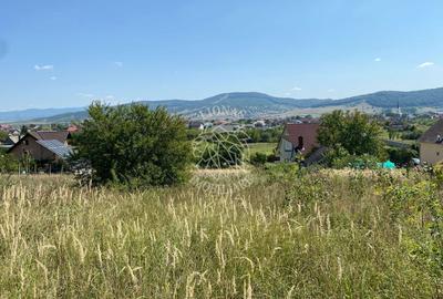 Teren intravilan 1300 mp-Viile cu Pomi-Unirea-Exclusiv - 2