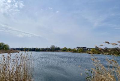 Teren vedere panoramica parțială lac si pădure, central, toate utilitățile - 12