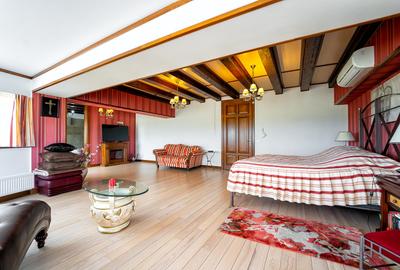 Casa de lux Selimbar! - 20