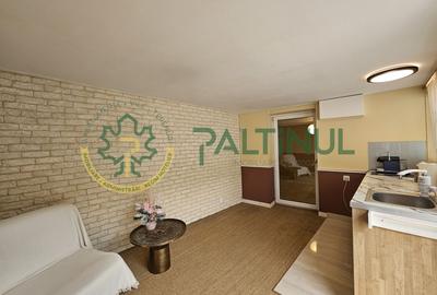 Casă de vanzare cochetă, complet renovată, în Rășinari, Sibiu - 20