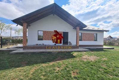 Casa plan parter deosebita, Lunca Cetatuii Ciurea, la asfalt, zona vis - 1