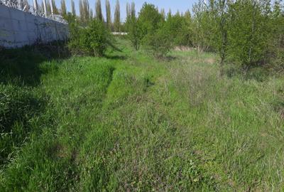 FARA COMISIOANE in Joita aproape de drumul asfaltat teren de 4600mp merita vazut - 2