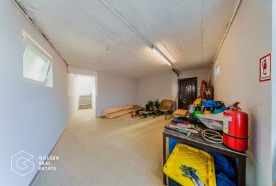Proprietate pretabila pentru afacere, Cladova - 24