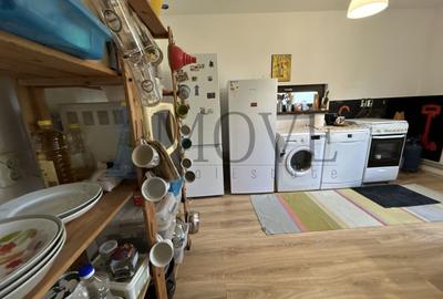 BELCIUGATELE- Casă de vacanță sau locuință permanentă - 16