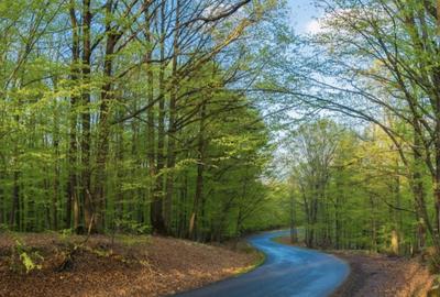 Teren intravilan de 40000 mp, în Teișani