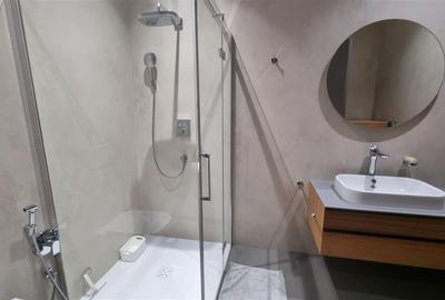 Apartament premium de 3 camere la vila zona Drumul Poienii - 15