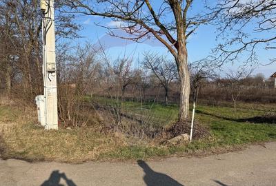 Teren 2,300mp Petresti / Strada Lacramioarei - 4