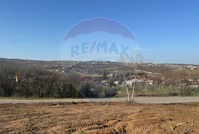 Teren intravilan de vânzare, 1107 mp –Paleu, județul Bihor - 5