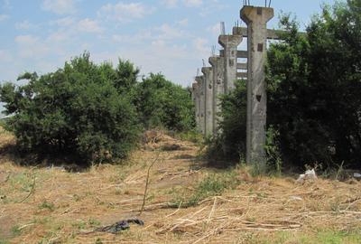Magurele - Atomistilor, Zona Mixta - 5