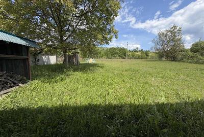CASA DE VANZRE | 4 CAMERE | 978 MP TEREN | ROSIA | BIHOR | - 13