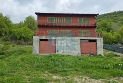 Casă de vacanță pe malul Dunării, Svinița - 4