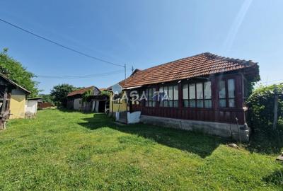 Casa 3 Camere + Teren si Anexe, Tirculesti- Danesti - 2