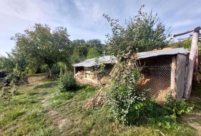 PROPRIETATE SUPERBA IN BIBIRESTI - 8