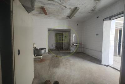 Spatiu comercial 9 camere, casa 2 camere,  teren 354 mp, Brestei. - 5