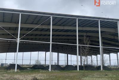 COMISION 0% Hala industriala 5500 mp utili zona de Nord Timisoara - ID V5143 - 14