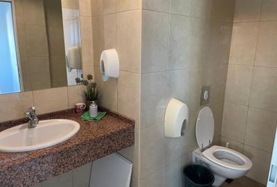 260 mp imobil birouri Victoriei-Buzesti- Gara de nord - 8