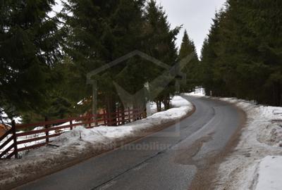 Cabana de vanzare in Muntele Baisorii aproape de partie - 20
